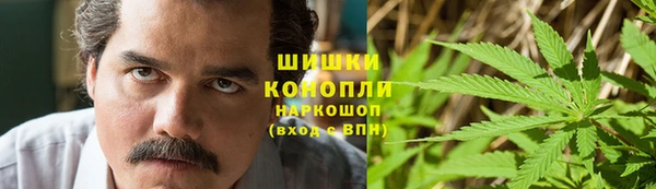 PSILOCYBIN Михайловск