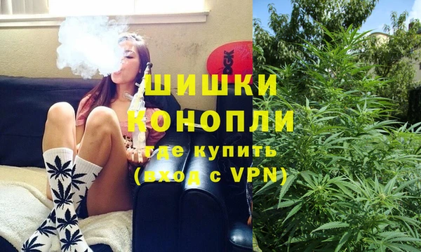 мяу мяу кристалл Гусь-Хрустальный