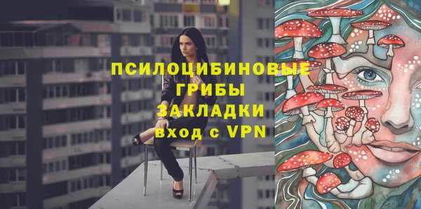PSILOCYBIN Михайловск