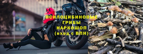 PSILOCYBIN Михайловск