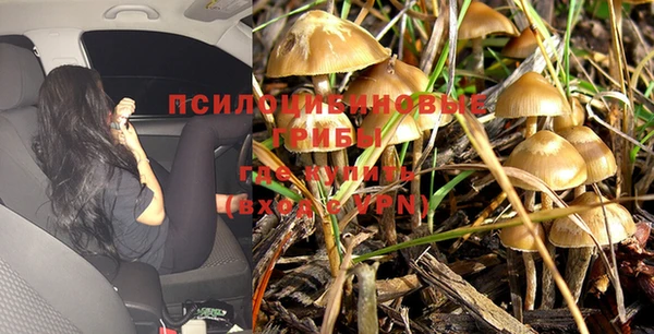 винт Медвежьегорск