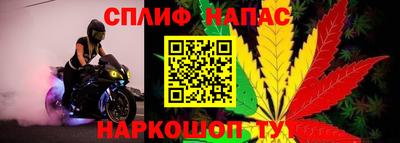 МДПВ Донской