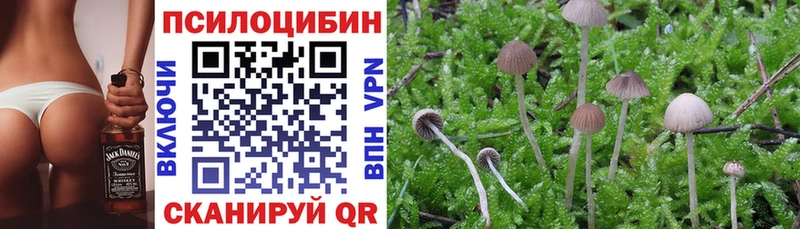 Псилоцибиновые грибы Magic Shrooms наркота KRAKEN ССЫЛКА Кинель