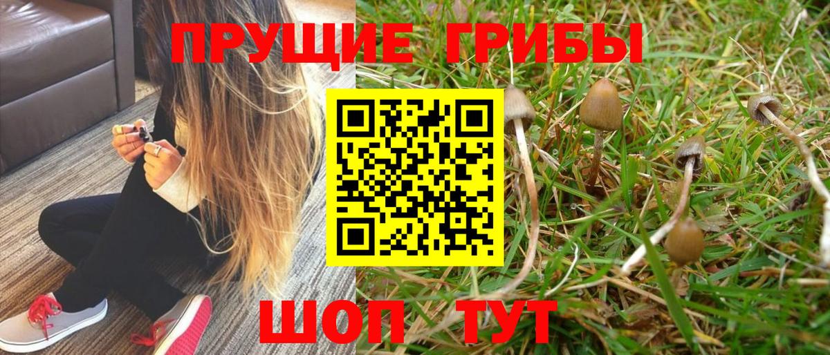 Галлюциногенные грибы прущие грибы Кинель