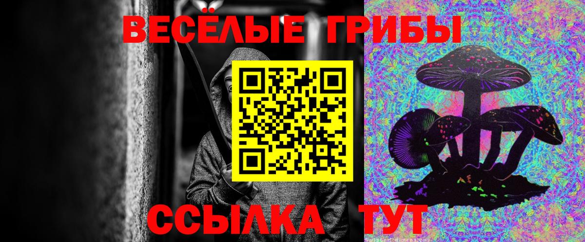 Псилоцибиновые грибы мицелий  Вход с VPN  Кинель  Галлюциногенные грибы MAGIC MUSHROOMS 