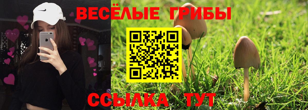 Галлюциногенные грибы ЛСД  Кинель  Псилоцибиновые грибы мицелий 