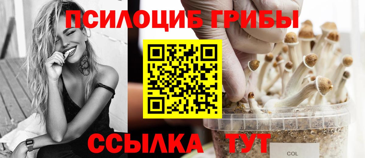 Галлюциногенные грибы GOLDEN TEACHER  хочу   Кинель  Галлюциногенные грибы GOLDEN TEACHER 