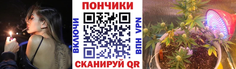 Конопля план  Кинель 