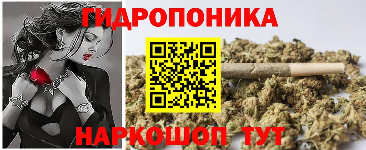 Шишки марихуана индика  Бошки Шишки Bruce Banner  Кинель  Канабис сатива  Вход с VPN  Конопля ГИДРОПОН 