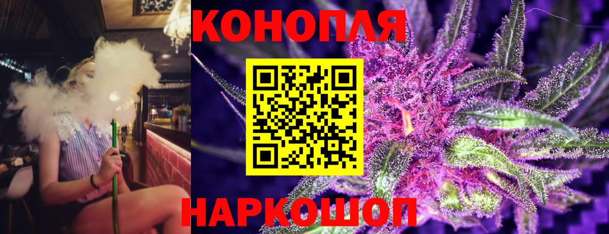 Конопля план  Конопля план  Конопля план  Конопля план  Конопля план  Кинель  Конопля план 